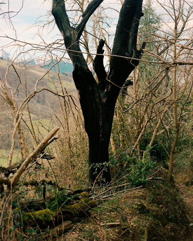 Bruissements des sentes