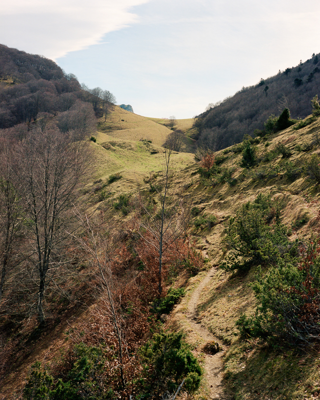 Bruissements des sentes